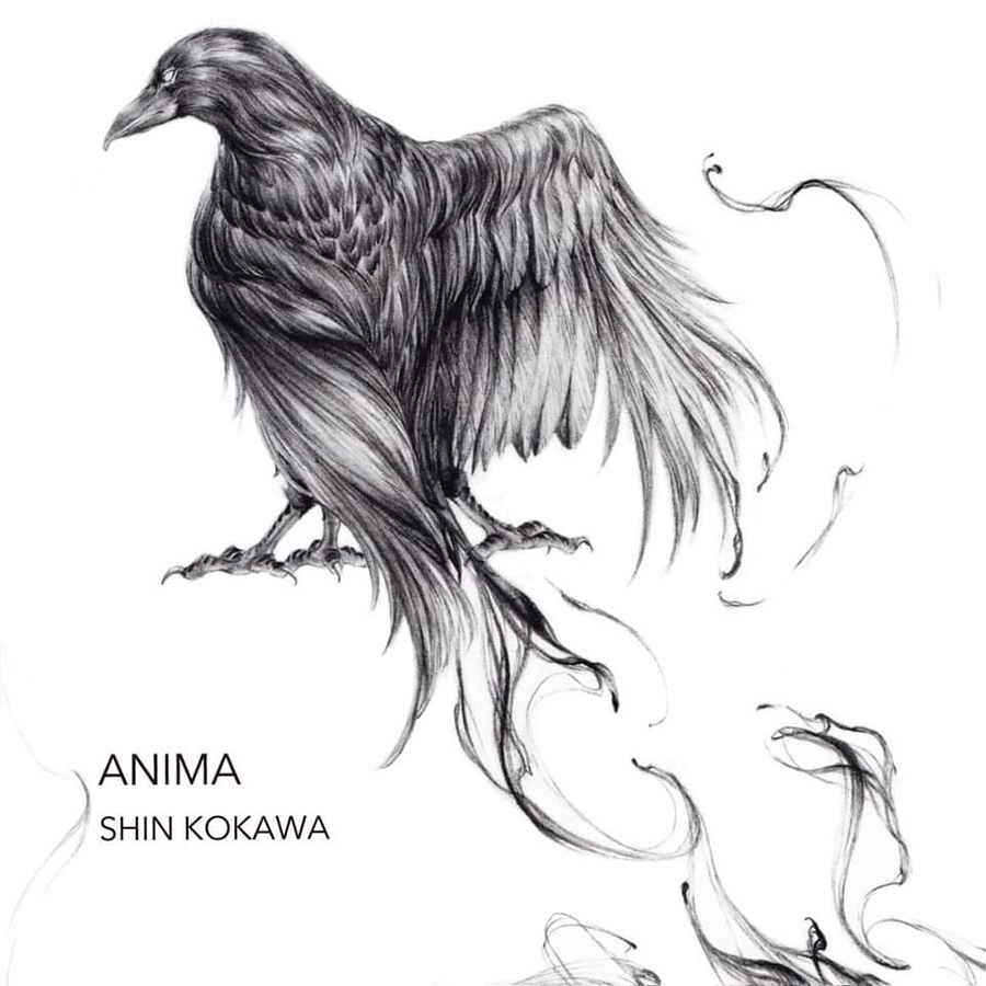 SHIN KOKAWA [ANIMA]Release Live
