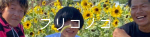 フリコノコ