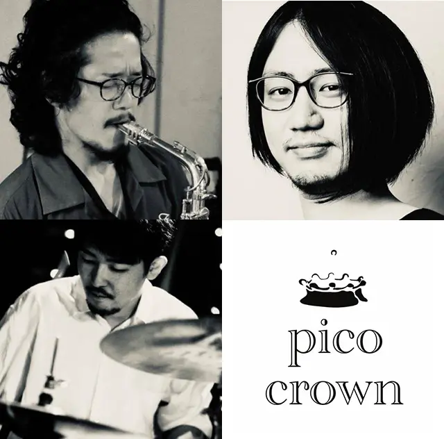 pico crown プロフィール