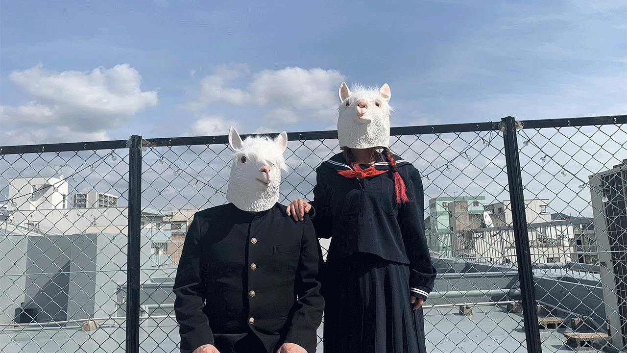 アルパカセブンス｜プロフィール