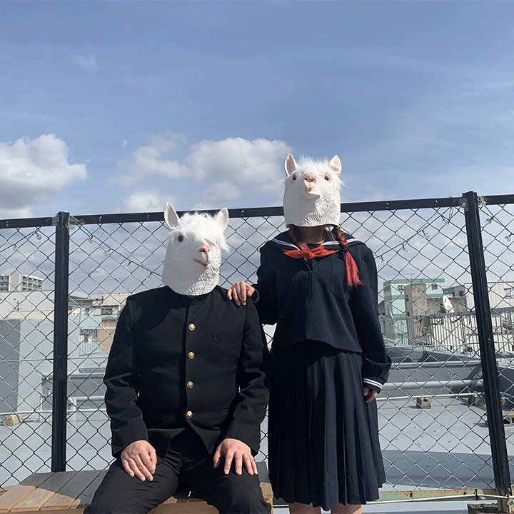 alpaca7thプロフィール