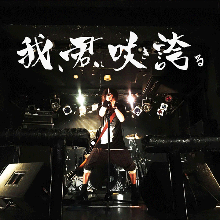 warekiminisakihokoruプロフィール