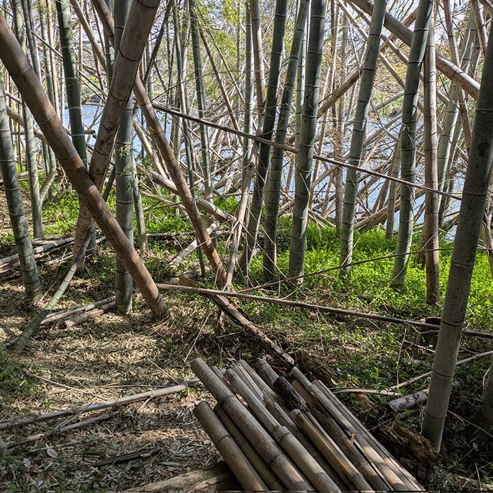 ポーラス竹炭欲しい方いませんか？